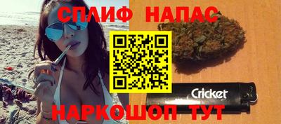 бошки Гагарин