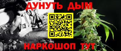 бошки Гагарин