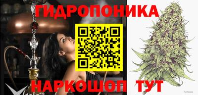 ешки Гатчина
